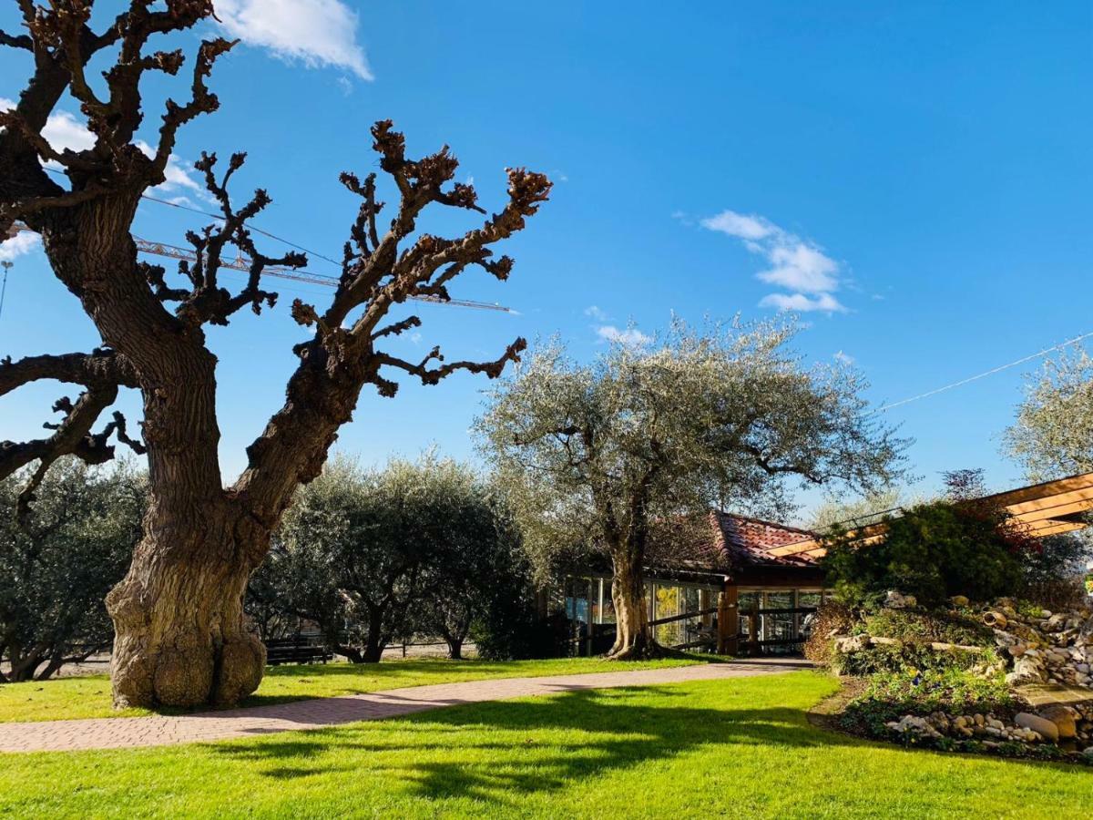 Agriturismo Le Tese Colà Dış mekan fotoğraf