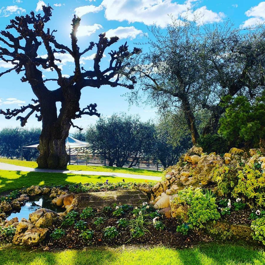 Agriturismo Le Tese Colà Dış mekan fotoğraf